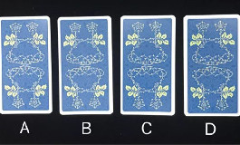 塔罗测试你的婚礼会是一个什么样子的呢？