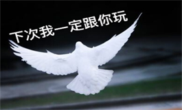 测试朋友突然放你鸽子是因为什么