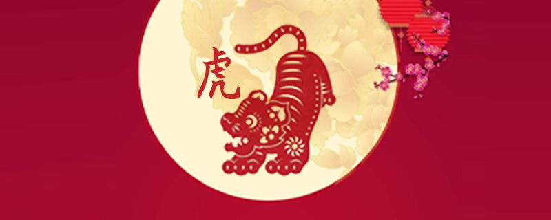属虎人的性格和脾气