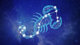 11月17日是什么星座？会有什么吸引人的星座特点