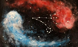 星座中的48星区是指什么意思