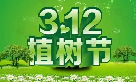 植树节是哪一天？一起去种棵树吧