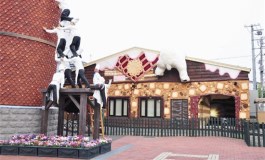 闹闹女巫店一周星座运势（11.21-11.27)