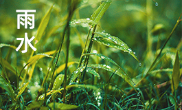 雨水节气的含义和风俗 雨水节气的风俗文化