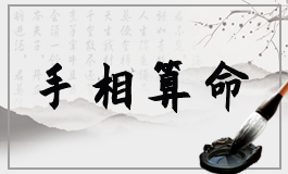 土型手什么样
